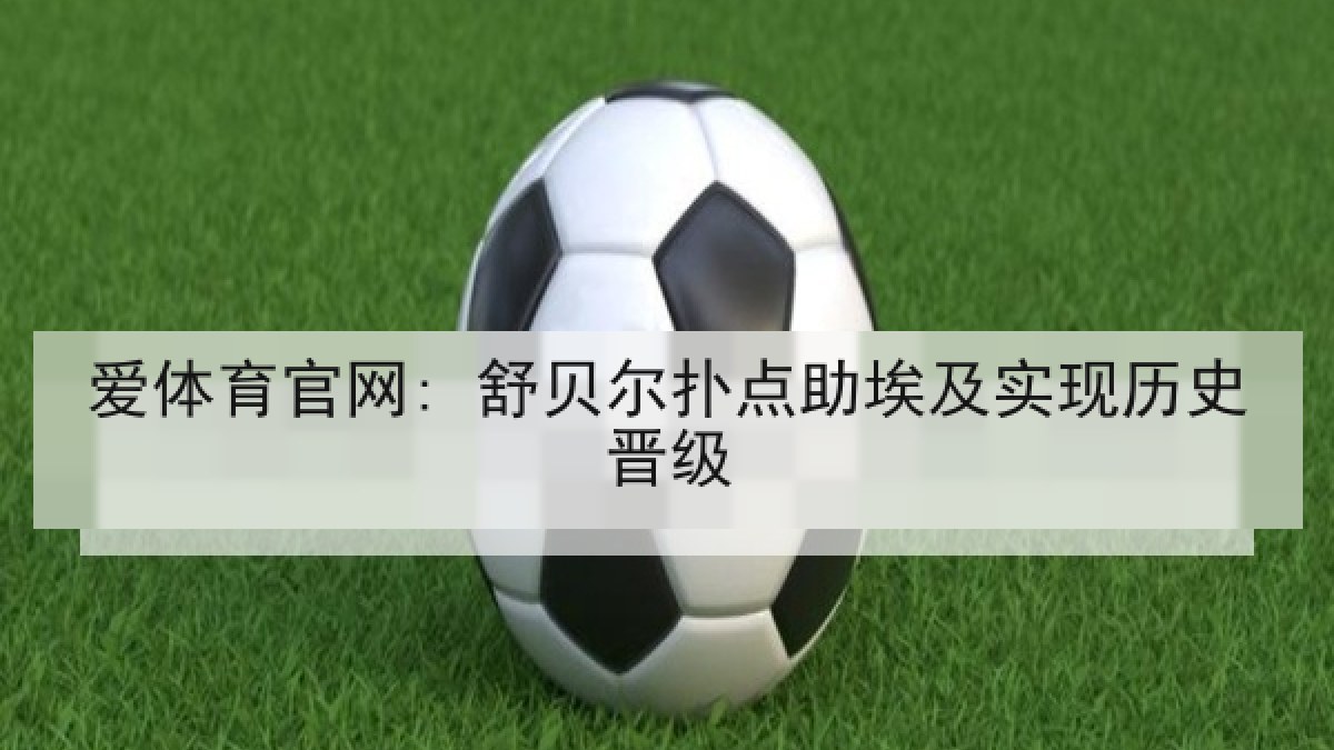 爱体育官网: 舒贝尔扑点助埃及实现历史晋级