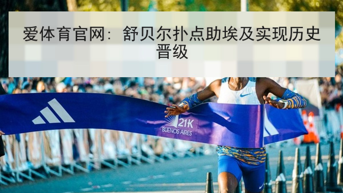 爱体育官网: 舒贝尔扑点助埃及实现历史晋级